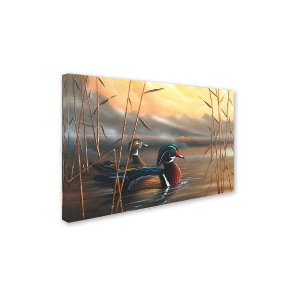 Geno Peoples 'Wood Ducks' Canvas Art,22x32